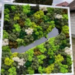image1_1